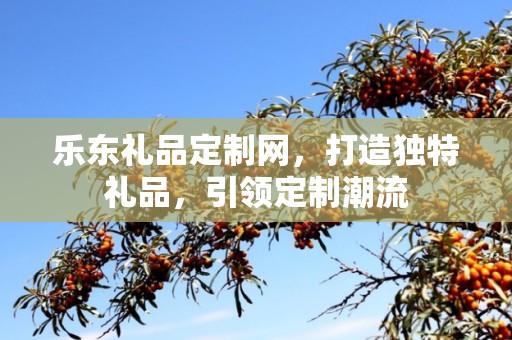乐东礼品定制网，打造独特礼品，引领定制潮流